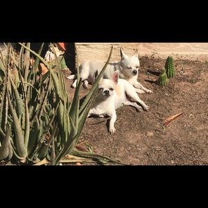 Meet your Posher, Karey